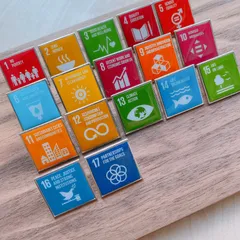 2026年最新】国連 バッジの人気アイテム - メルカリ