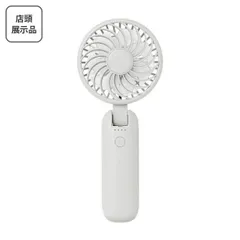 【店頭展示品】ライフオンプロダクツ 大風量ダブルファン カラビナ付 LCAF001