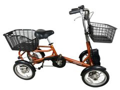 三輪電動ケンキャクン自転車 - メルカリ