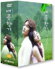 夏の香り DVD Box 1.2 セット特典付き ソン・スンホン ソン・イェジン