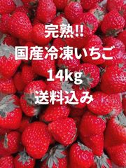 冷凍いちご14kg 限定値下げ - メルカリ
