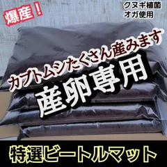 カブトムシの産卵専用　ビートルマット【40リットル】クヌギのオガを植菌で朽ちらせ室内で完熟発酵！添加剤少なめで産卵意欲が高まり多産へと導く！雑虫が湧きません！保存にも便利なチャック付き袋！
