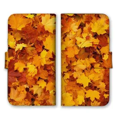 iPhone 16 Plus ケース 手帳型 アイフォン16プラス スマホケース 携帯ケース 秋 あき 紅葉 もみじ イチョウ 紅葉狩り オータム 写真 オレンジ カラー02