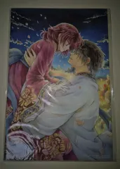 暁のヨナ まとめ) 花とゆめ 雑誌 付録 複製原画 16枚 まとめ