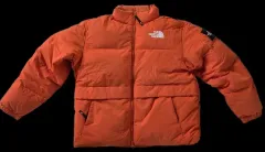 THE NORTH FACE ホワイトラベル NEOファーダウンジャケット