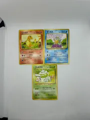 送料無料　ポケモンカード 旧裏　初代　御三家　ゼニガメ　ヒトカゲ　フシギダネ　#16059