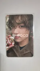 NCT ヘチャン 2023 PINK CHRISTMAS RANDOM PACK