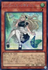 バラ売り用2点　エンディミオンの侍女ジェニー　精霊コロゾ　赤シク メルカリ