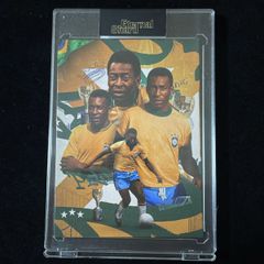 Dragan Stojkovic ドラガン・ストイコビッチ Panini Select