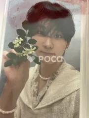 ENHYPEN ジョンウォン ORANGE BLOOD KALPA ver.