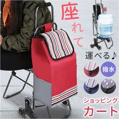シフレ ムーミン スナフキン ショッピングカート 保冷 保温 約35L