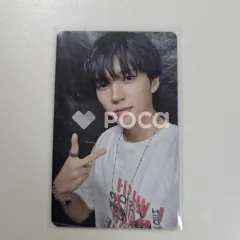 Tree Ring 公開放送