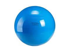GYMNIC(ギムニク) フィジオロール 青 バランスボール ピーナッツ型