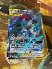 P25824 ゲッコウガ&ゾロアークGX SR