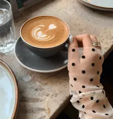 ドットシースルー レイヤードTシャツ インナーTシャツ 出品