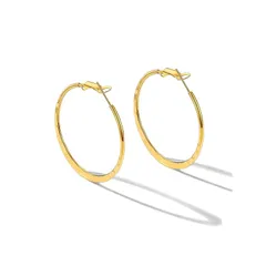 【新品】 PROSTEEL フープピアス 金属アレルギー対応 レディース 18金めっき ステンレス リングピアス 輪っか ループ シンプル 小さい 両耳 錆びない カジュアル アクセサリー 女性 槌目加工[ゴールド 30mm] 1