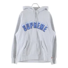 SUPREME (シュプリーム) 20AW Icy Arc Hooded Sweatshirt アイス アーチロゴデザイン フーデッド スウェット パーカー グレー