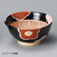 石化桧盆栽&極姫石菖 小品盆栽 (検索用 石化ヒノキ、檜、黒松、真柏