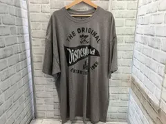 Hanes ／ ヘインズ ／ 古着 ／ ディズニープリントTee ／ Disney Park ／ 半袖Tシャツ ／ グレー ／ 3XL (XXX-LARGE)