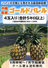 沖縄県 東村産】ゴールドバレル 10キロ (5～6玉) 箱込み - メルカリ