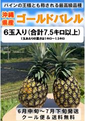 沖縄県産 ☆キンコーマンゴー ☆ゴールドバレル （パイナップル