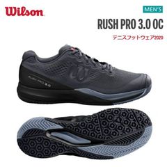 種類11：V1GA211209/28.0cm MIZUNO(ミズノ) WAVE MOMENTUM 2(ウエーブ