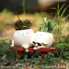 プランター かわいい 鉢植え 植木鉢 ホワイト 樹脂 庭 寄せ植え 多肉植物 ガーデニング 雑貨 ガーデン雑貨 ガーデンインテリア ガーデン インテリア 庭の装飾 お洒落 おしゃれ 8-14のサムネイル