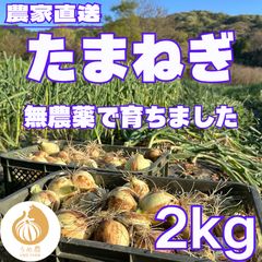 掘り立て発送‼️徳島産無農薬いんかのめざめ2Lサイズ3キロ - メルカリ