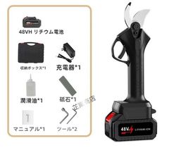 戦漢 圭朝板 瑞獣トークン 美品 工芸品 美術品 置物 - メルカリ