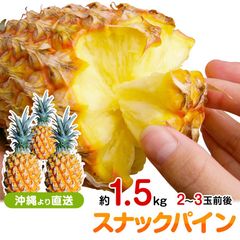 甘い樹実り完熟スナックパイン❣️生産量日本一の東村のパイナップル