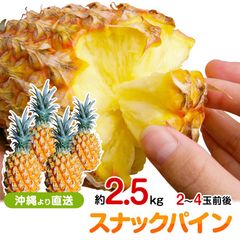 甘い樹実り完熟スナックパイン❣️生産量日本一の東村のパイナップル