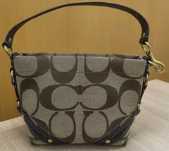 【ほぼ未使用】COACH コーチ シグネチャー ハンドバッグ ブラウン 40347