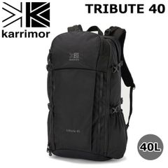 直接引き渡し ミニベロ Tern Crest 460 ライト・キーチェーン付き