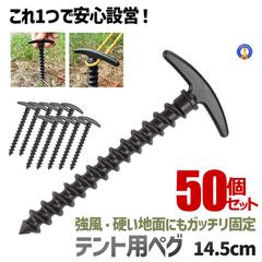 Easton Gold 24（雪山テント用ペグ） 4本セット Easton Gold 24（雪山用ペグ） 4本セット - メルカリ