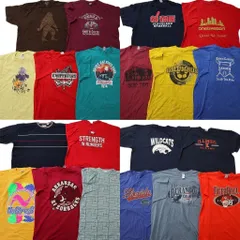 古着卸 まとめ売り カラー Tシャツ 20枚セット ( メンズ 2XL ) カレッジチーム アニマル 動物 フルーツオブザルーム 中古 古着 NE3637