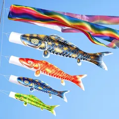 2026年最新】鯉のぼり 2mの人気アイテム - メルカリ