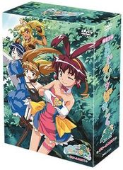 廃盤 フォーチュンクエストL DVD-BOX デジタルリマスター版 深沢美潮