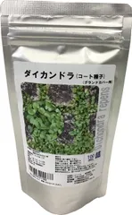 福花園種苗 ダイカンドラ種子(コート種子)100mL詰 (グランドカバー用)のサムネイル