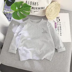☆ グレー ☆ 80cm ☆ Ｔシャツ キッズ ロンティー 長袖 恐竜図鑑 Tシャツ キッズ 長袖 tシャツ 長袖tシャツ 長袖Tシャツ カットソー ロンt ロンT 長袖ロンT 長袖ロンt ロンティー 子供服 子ども服 キッズ服 トップス 男の子 男児