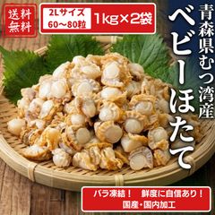 超特大ホタテの貝殻 21cm ホタテガイ 帆立貝 ホタテ 貝 貝殻 貝標本