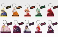 (全10種) ONE PIECE 一番くじ アンブレイカブル I賞 キーホルダー