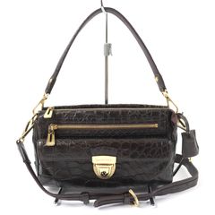 美品 COACH コーチ スネーク柄 アシュトン 2way ショルダーバッグ 