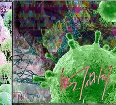 フレデリックのCD Focusぼかす - メルカリ