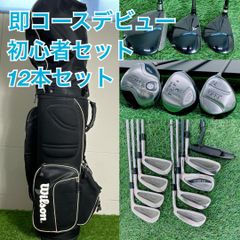 b916 初心者必見 プロギア メンズゴルフクラブ14本セット※Dr2本
