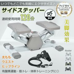 [Free Shipping] Quiet Twist Stepper for Diet, Senior Citizens, Health Equipment, Twist Stepper, Health Stepper, Diet Equipment, Foot Stepper, Side Stepper, Exercise Equipment, Indoor Use