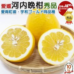愛媛県産 ぽんかん缶詰 5号缶 170g*24個入 - メルカリ