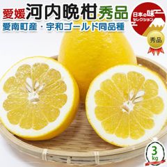 希少品種 湘南ゴールド（柑橘苗）3本 ねこねこねこねこ様専用 - メルカリ