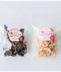 国産乾燥きくらげ 50g 無農薬 水のプロが育てる極厚 将軍様のきくらげ