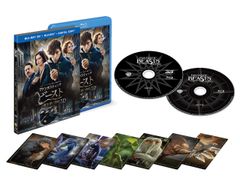 [초회 사양] 환상적인 비스트와 마법사 여행 3D & 2D 블루 레이 세트 [Blu-ray]