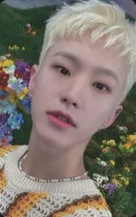 SEVENTEEN HOSHI SECTOR17 Weverse JP トレーディングカード